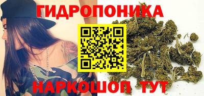 дживик Лесосибирск