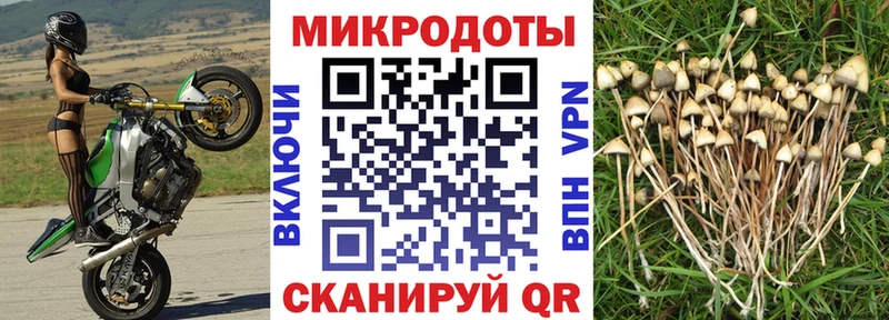 Псилоцибиновые грибы MAGIC MUSHROOMS  где можно купить наркотик  Заречный 